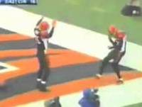 NFL Bloopers | Football Fails, Dances and Falls | America's Funniest Viral Videos