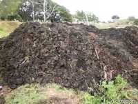 Padre Léo - LINDA HISTÓRIA para rir