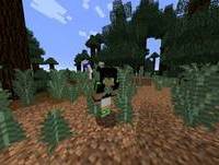 tutorial de ser cromos