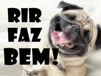 Videos engraçados - Melhores videos engraçados 2014 Animais engraçados Videos mais engraçados 2014