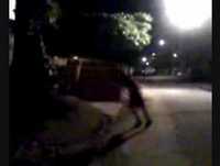 "Brincando de Jackass" 8D