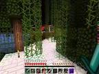 Minecraft: Capture the Wool Mini-Game Part 1- TRIPLE CAPTURE?