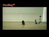 Pavablog# - Anúncio Fantástico