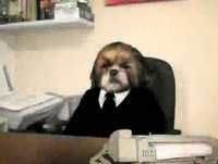 Episódio 3 - Aleixo no Brasil