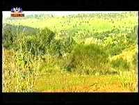 Herman SIC 2000 Parte 01