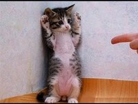 TOP Vídeos Engraçados - Compilação 2013 - Pegadinhas Cacetadas