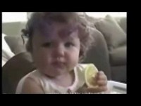 videos de bebes engracados -