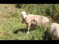 CENAS CORTADAS! - Maio