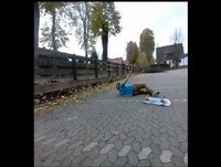 Skateboard Fails Take 1