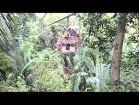 Zip Lining in Belize Rainforest 2013